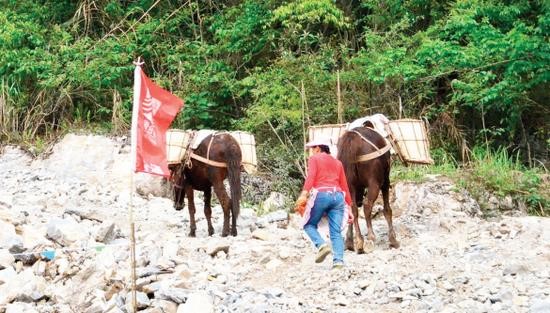 新余骡子运输队